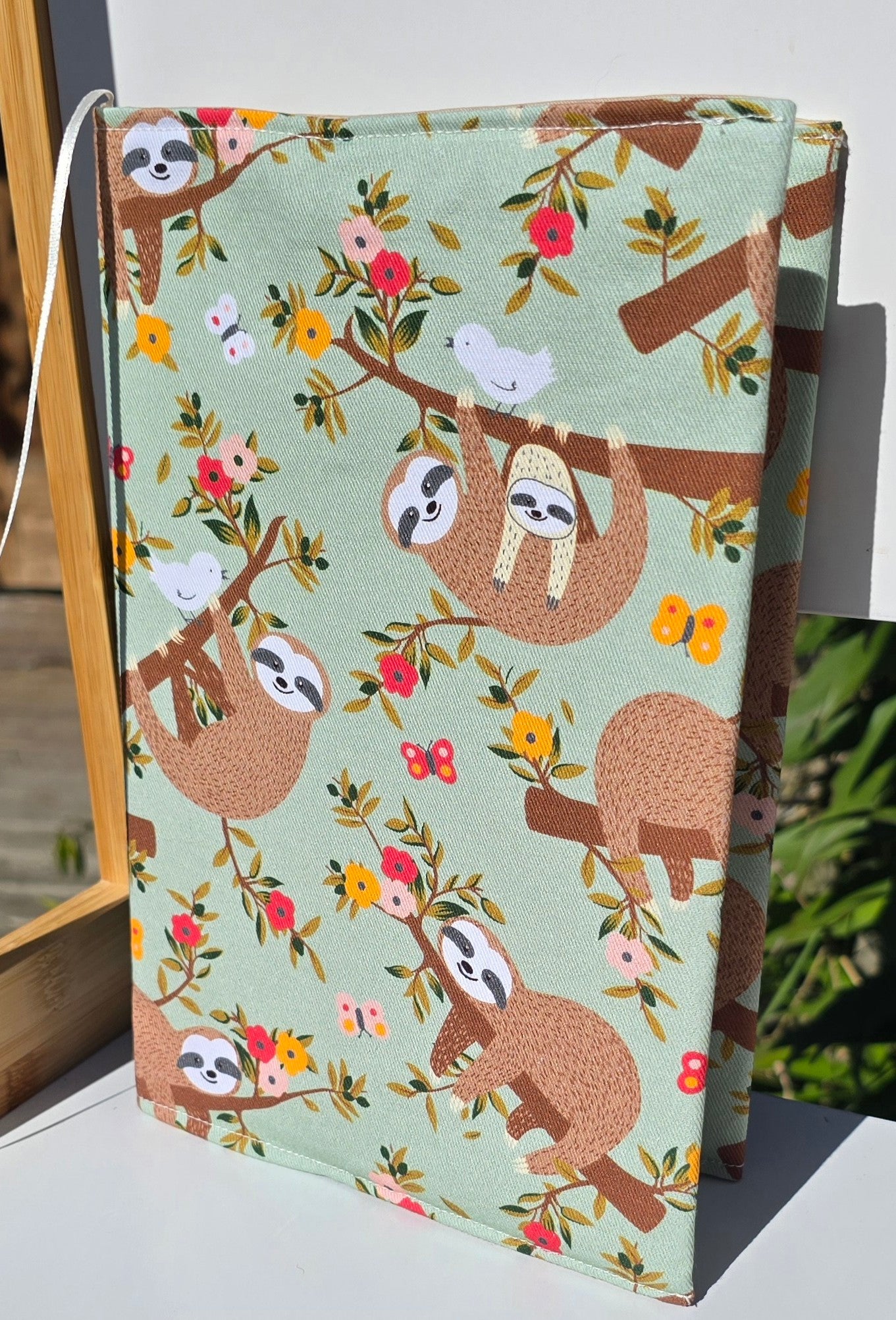 Plunket Book Cover